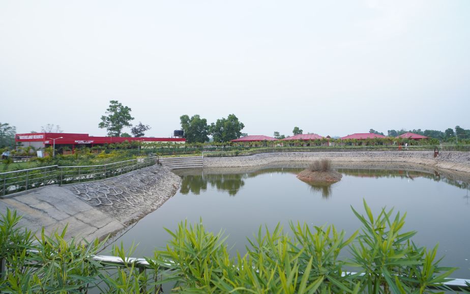 Lush green landscape with rolling hills, dense forest, and open sky at a nature retreat in Jharkhand.