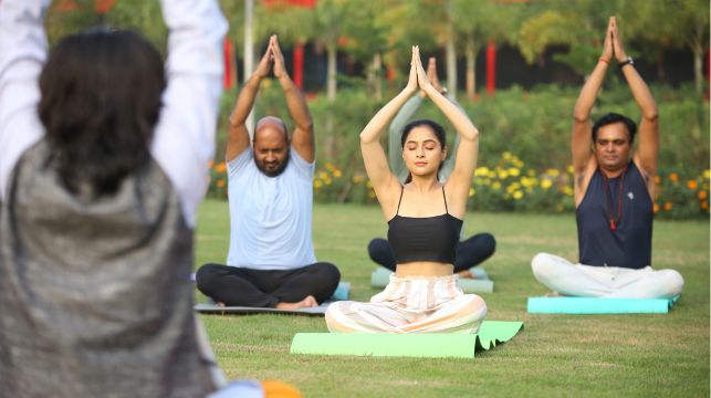 people doing yoga outdoor
