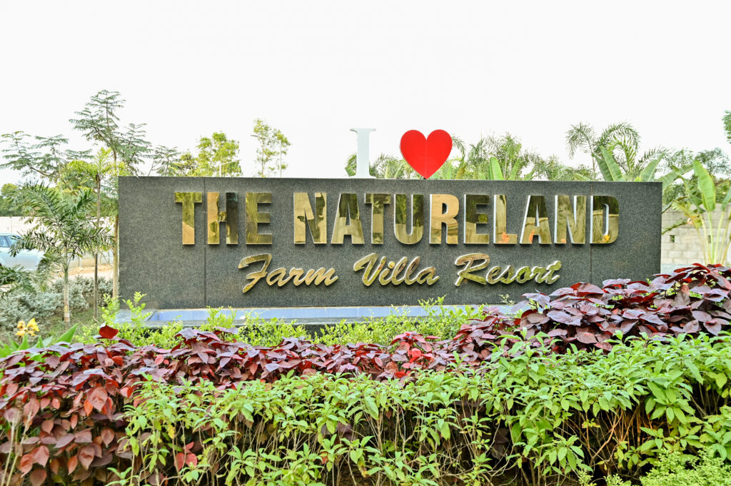 wellness therapy in natureland