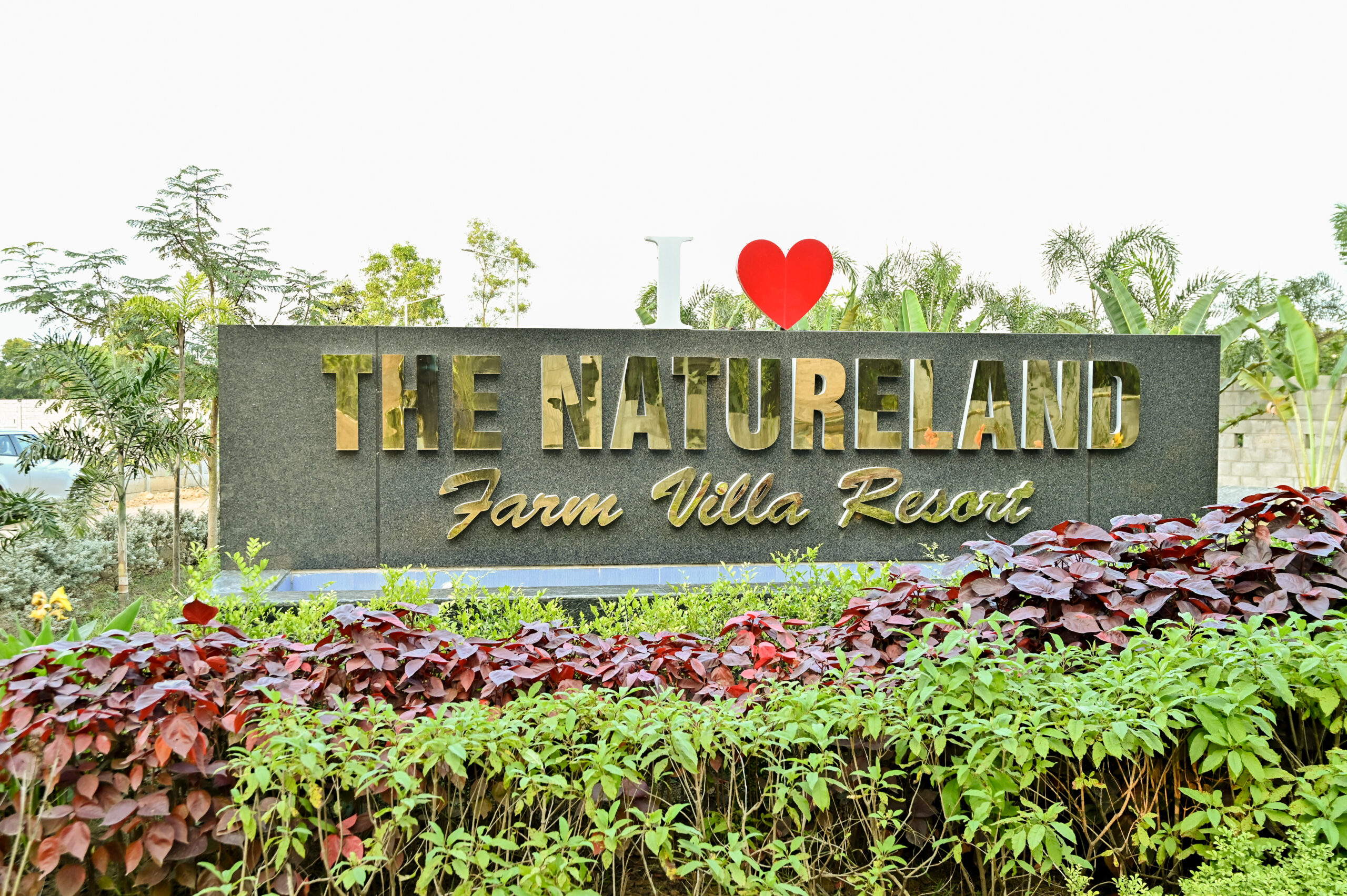 wellness therapy in natureland