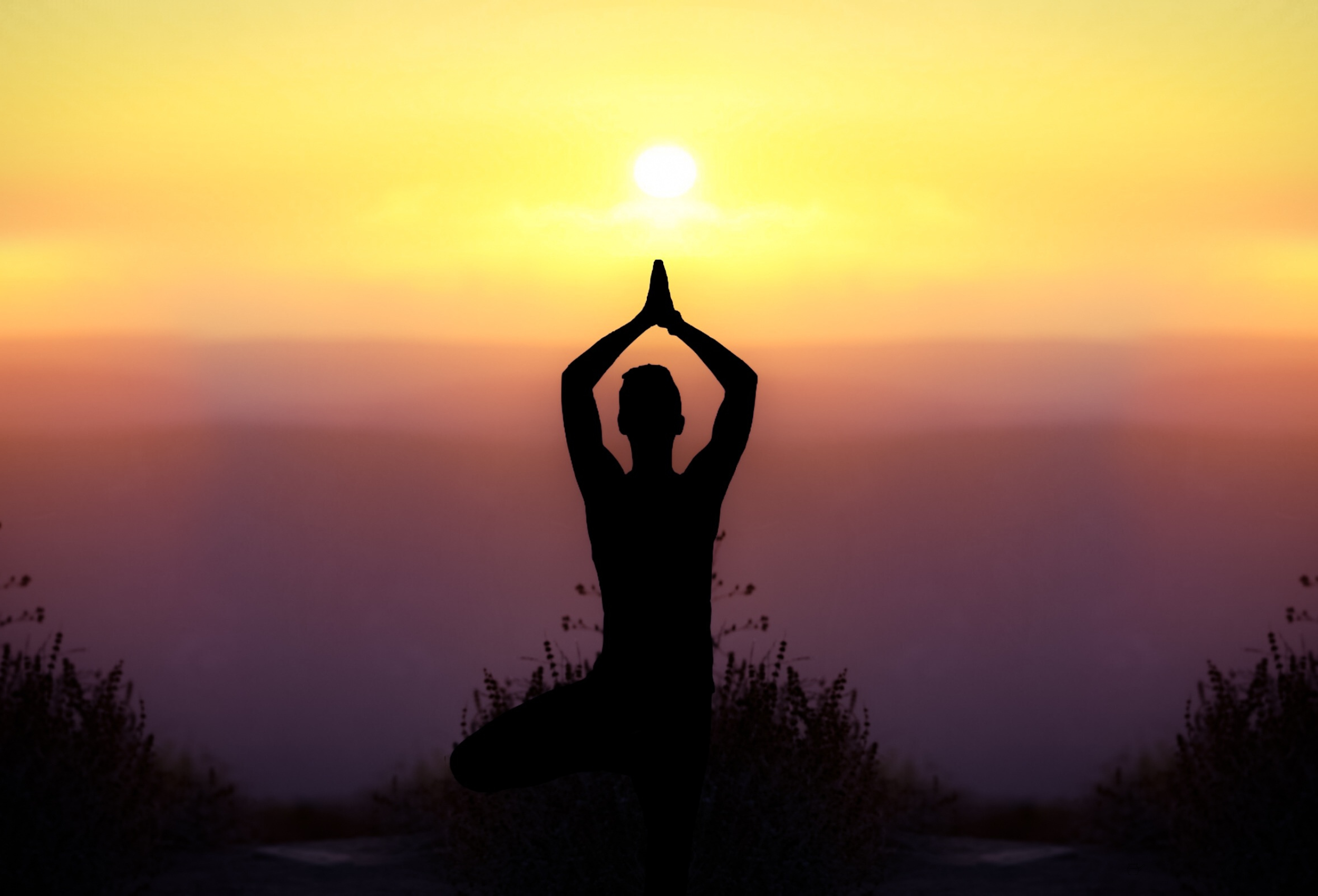 yoga in natureland